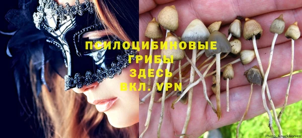 герыч Горнозаводск