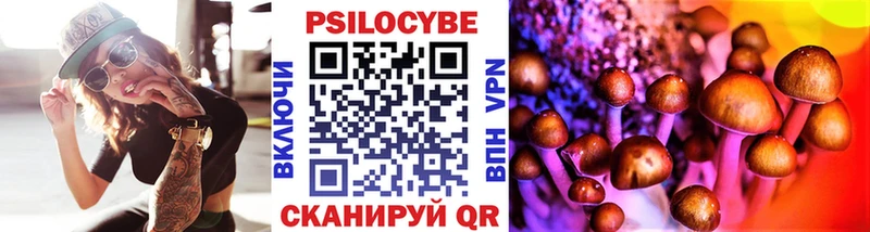 Псилоцибиновые грибы Magic Shrooms Москва