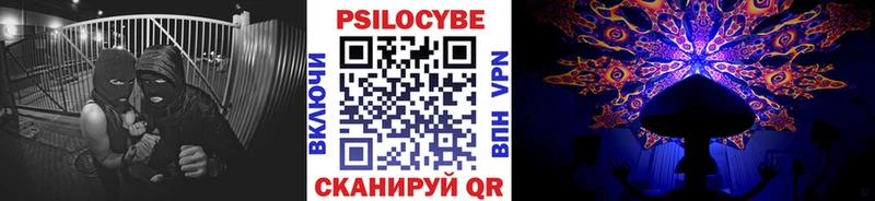 Галлюциногенные грибы Psilocybe  Москва 